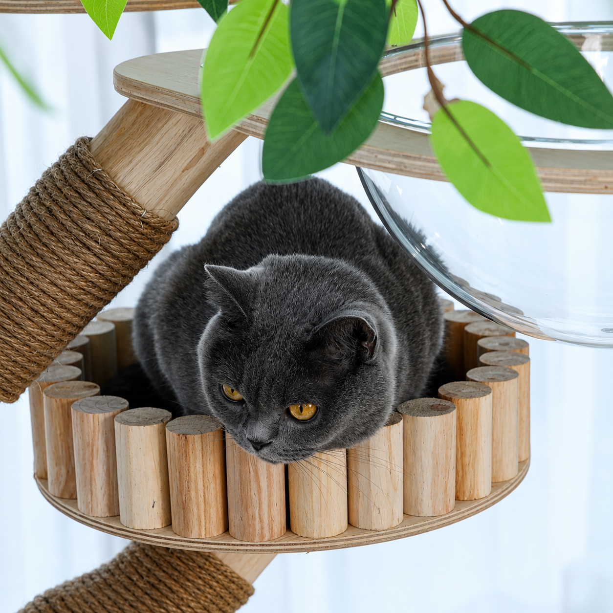 cat resting on the wooden perch of the HOOMLET Tree Inspired Cat Tower beneath the leafy canopy