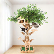 HOOMLET® Tree Inspired Cat Tower