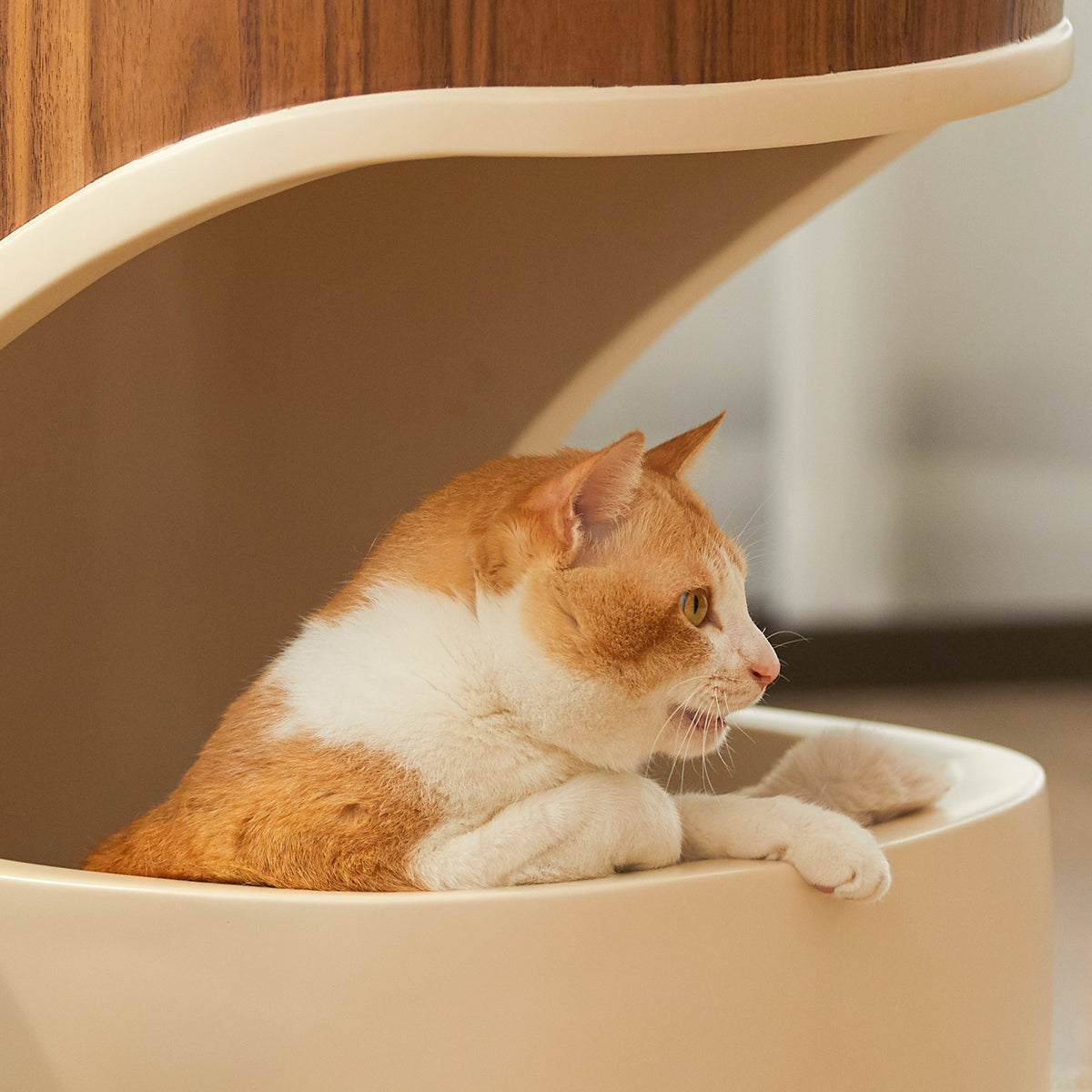 HOOMLET® Nuvy Side Table with Cat Bed