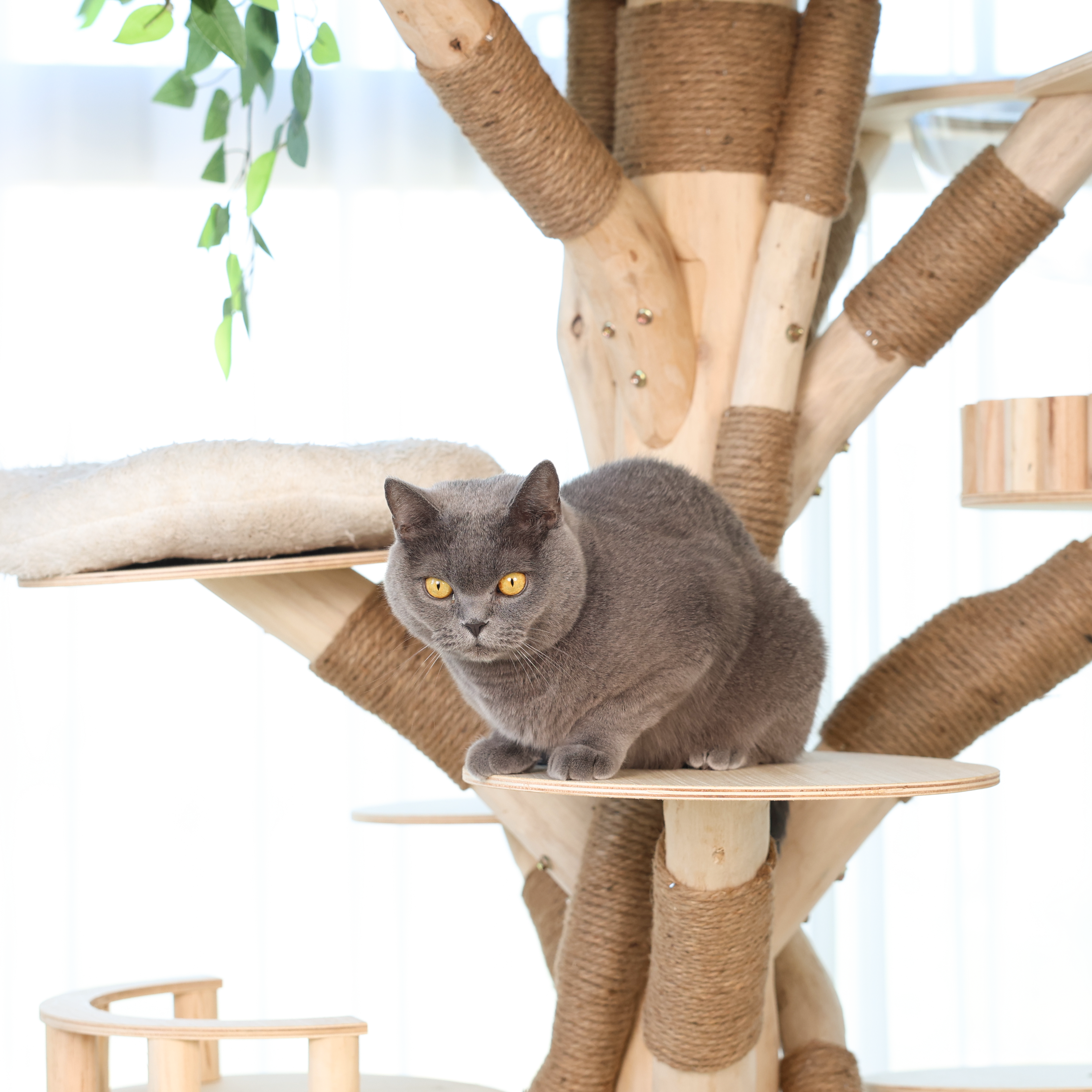 HOOMLET® Tree Inspired Cat Tower