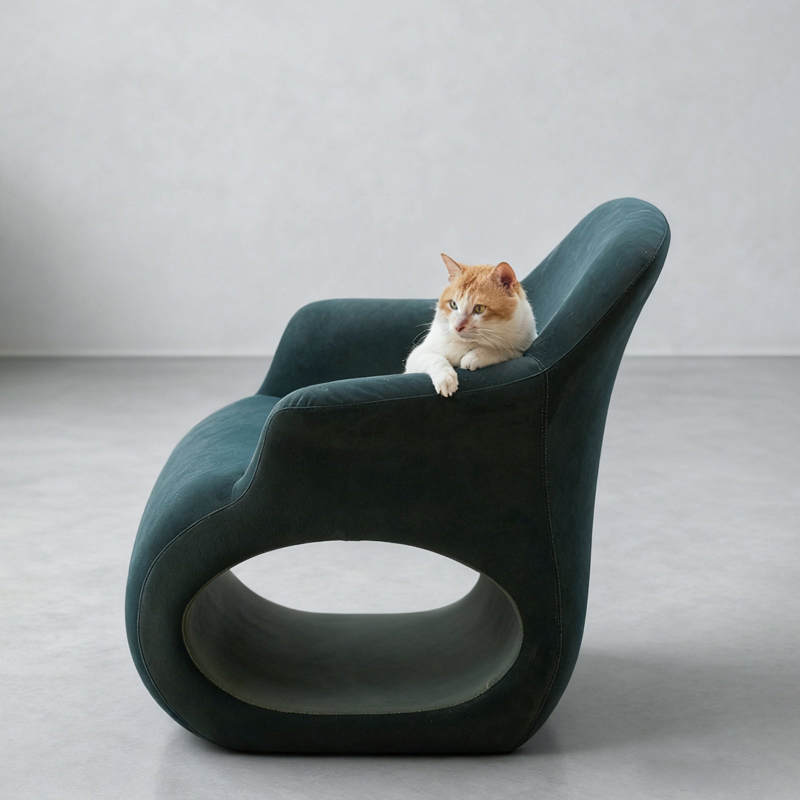HOOMLET® Lumo Lounge Chair with Cat Tunnel