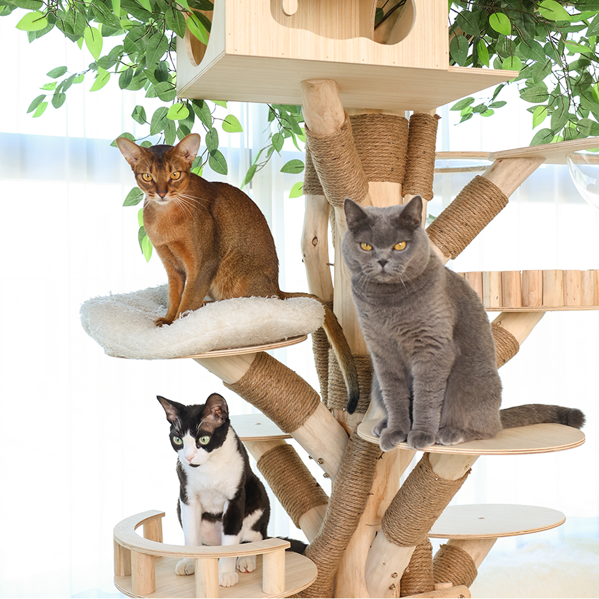 HOOMLET® Tree Inspired Cat Tower