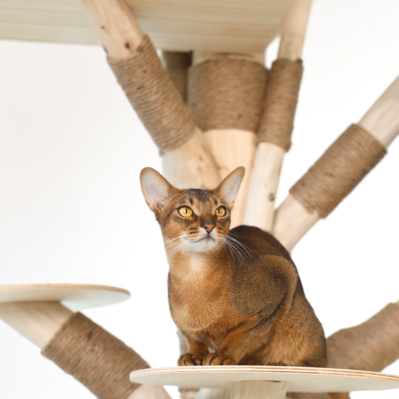 HOOMLET® Tree Inspired Cat Tower