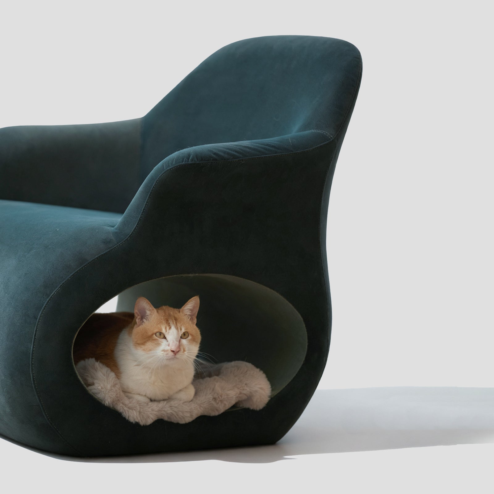 HOOMLET® Lumo Lounge Chair with Cat Tunnel
