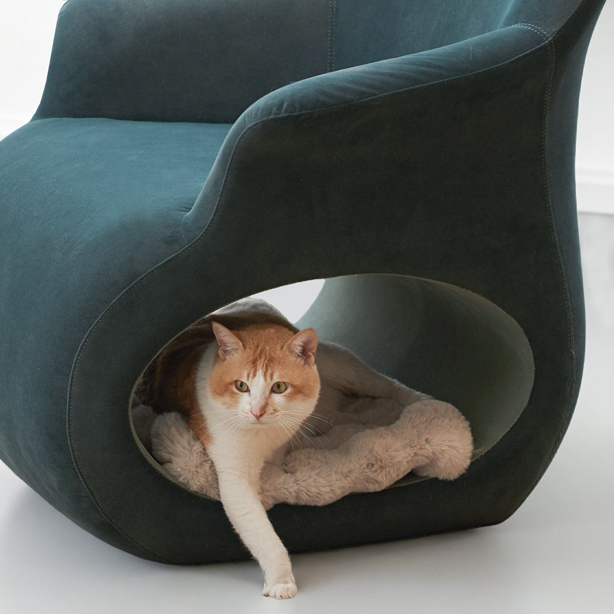 HOOMLET® Lumo Lounge Chair with Cat Tunnel