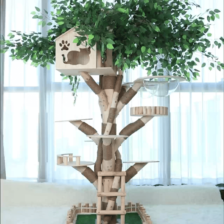 Animated view of the HOOMLET Tree Inspired Cat Tower with cats climbing and resting.