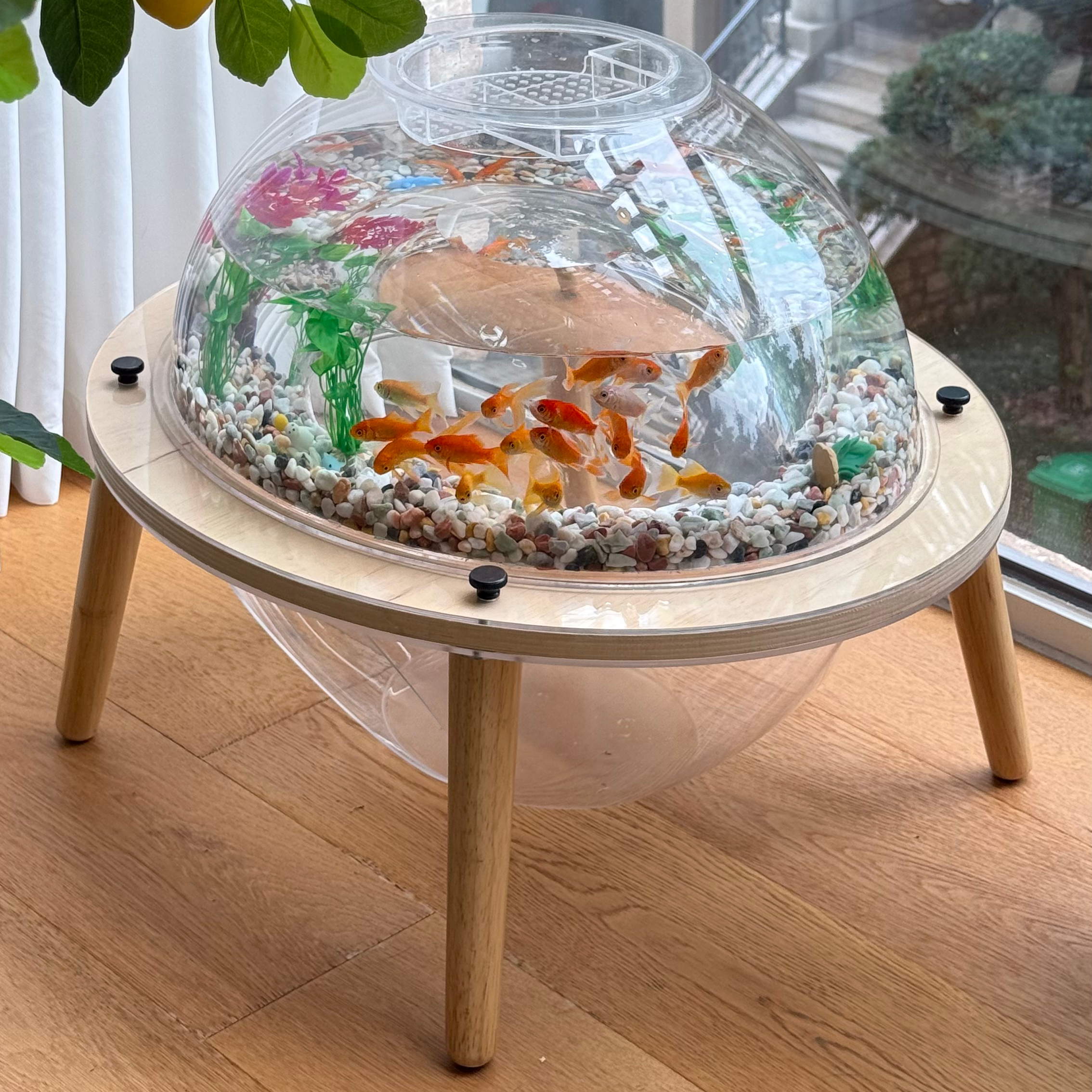 Close-up of the aquarium on the HOOMLET Aquarium Pro XL Cat Bed with colorful fish and aquatic plants.