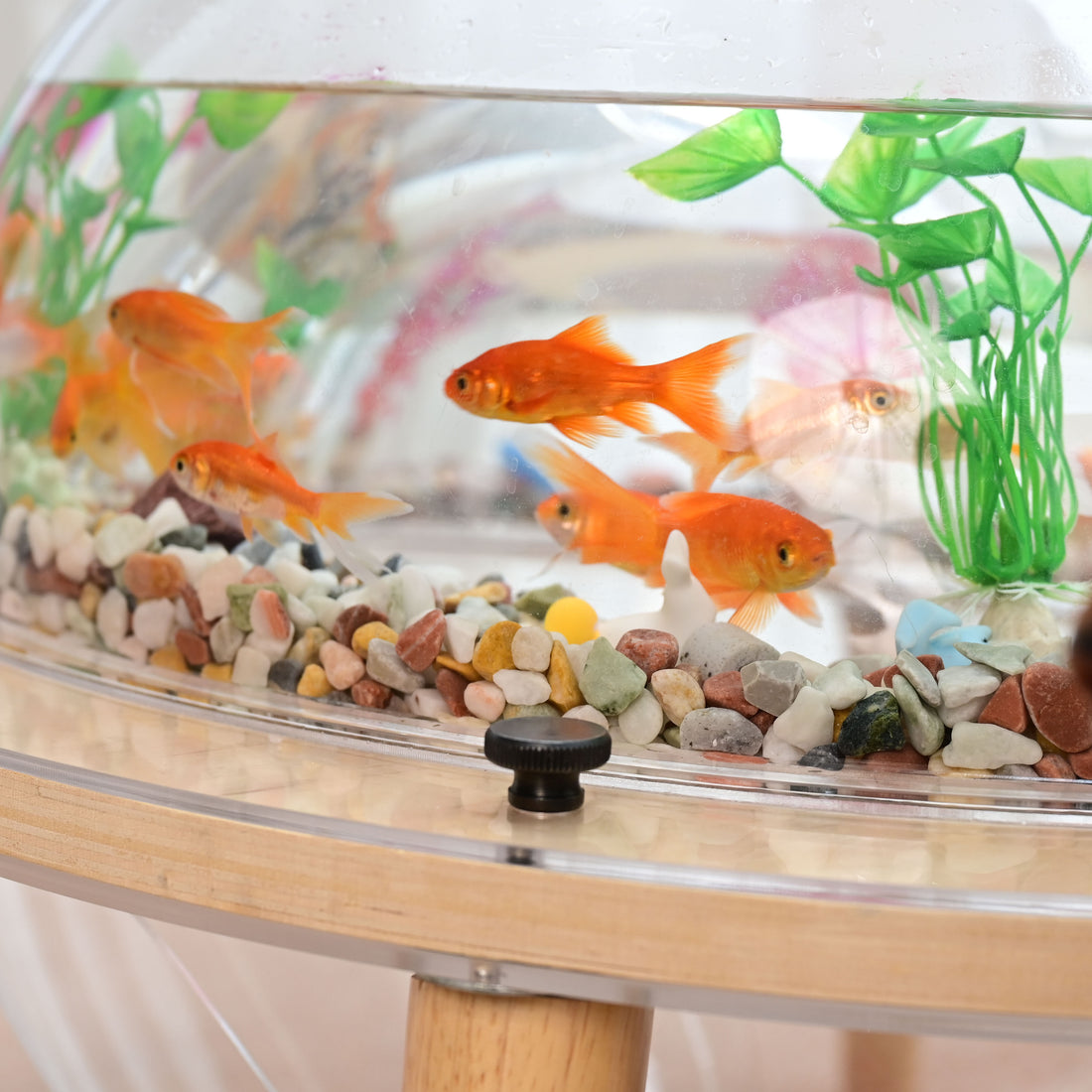 High-Definition, Thickened Acrylic Panels