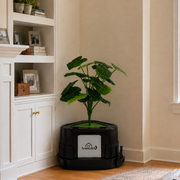 HOOMLET® Corner Planter Hidden Stainless Steel Litter Box