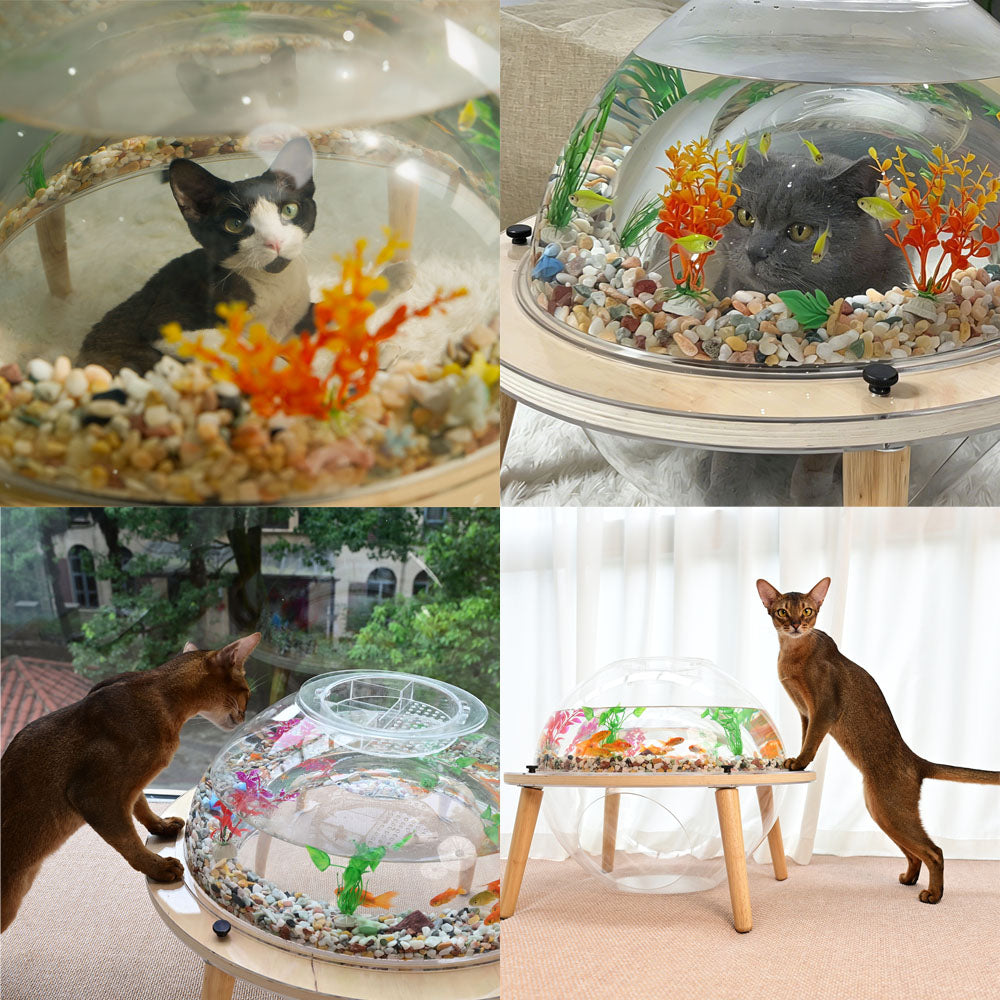 Cats relaxing, watching fish and interacting with the HOOMLET Aquarium Pro XL Cat Bed in everyday home environments.